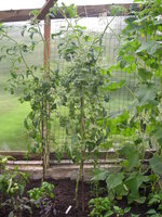 DSCN5681.JPG