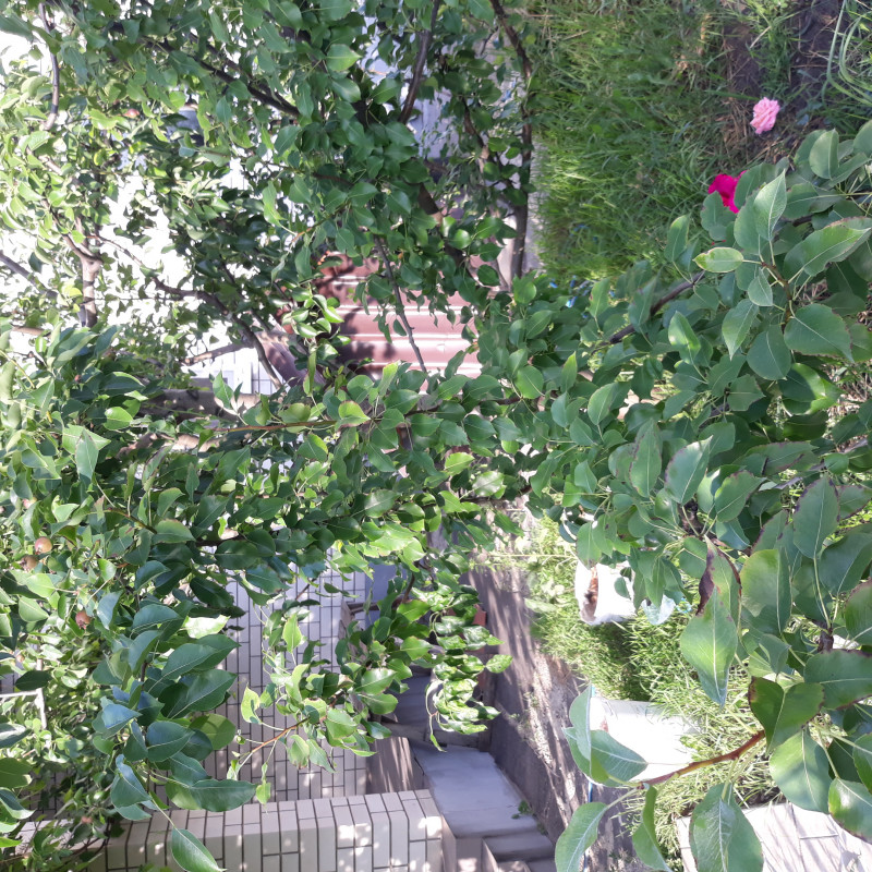 20220618_182203.jpg