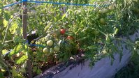 WP_20140713_006.jpg