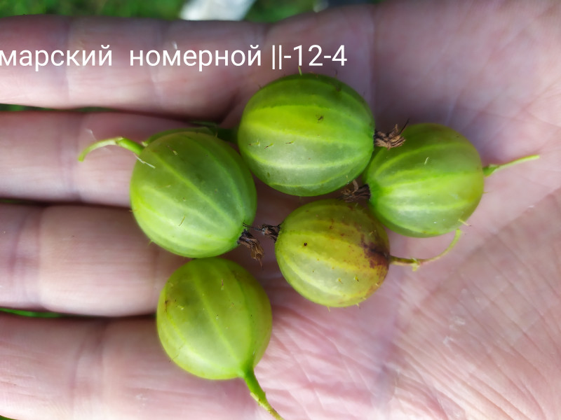 IMG_20210714_233039.jpg