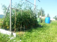 20140726_112959.jpg