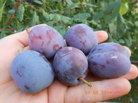 DSCN4649.JPG