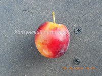 Величавая лг.jpg