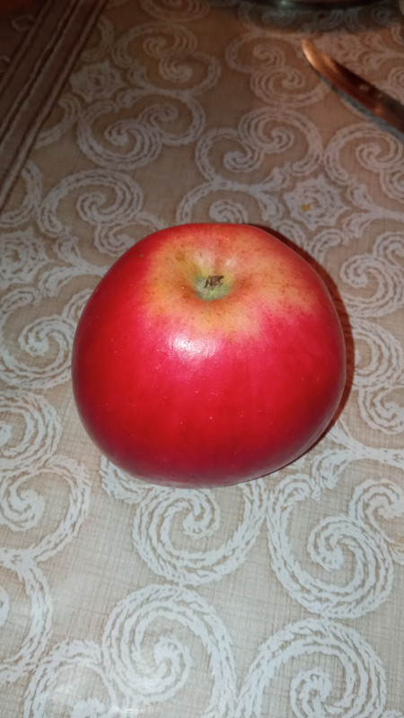IMG_20221009_185240.jpg