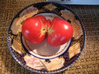 IMG_6019.jpg