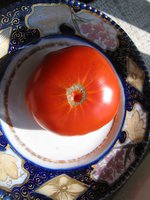 IMG_6021.jpg