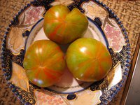 IMG_6031.jpg
