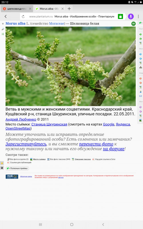 Screenshot_20221029-201230_Browser.jpg