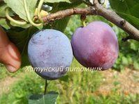 Нарач лг.jpg