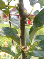 DSCN4843.JPG