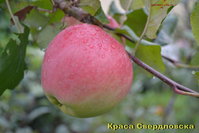 k_s2014.jpg