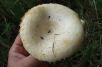 DSCF1175.JPG