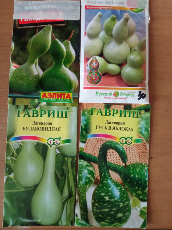 Лага_набор.jpg