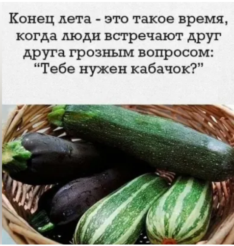 Кабачок.png