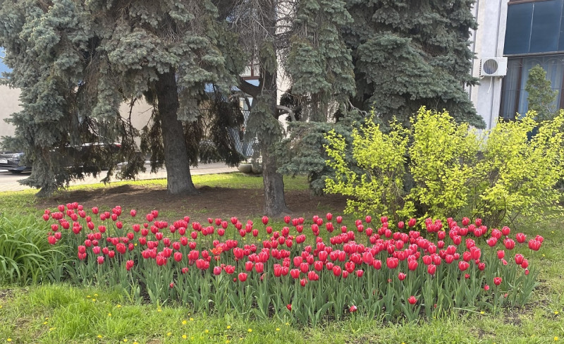 Луганск 02.05.2023_3.jpg