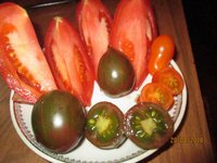 Болгарский, Фиолетовый разноцветный, Черри-Санта