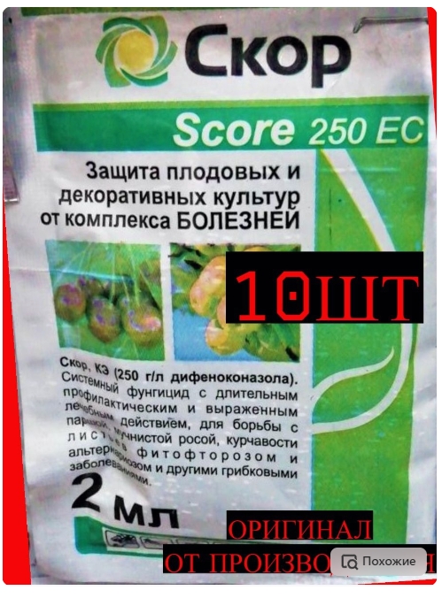 скор.jpg