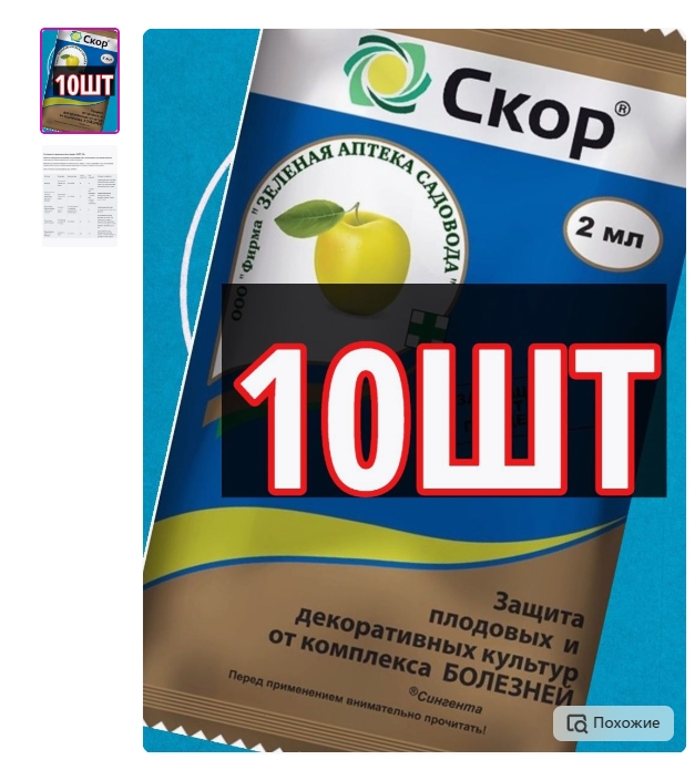 скор1.jpg