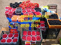 IMG_6712.JPG