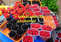 IMG_6719.JPG