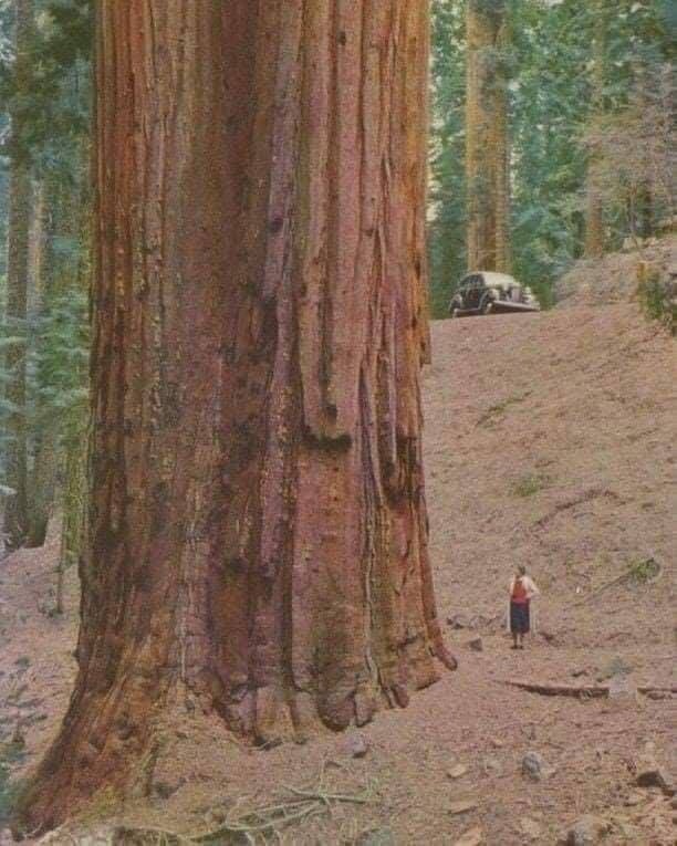 b9fZqvzgqmw.jpg