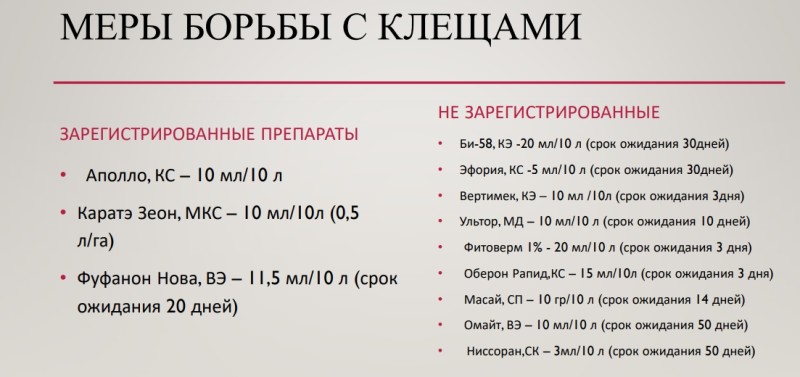 Скриншот (18.09.2023 09-47-31).jpg