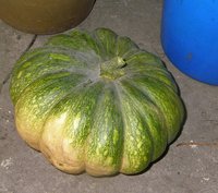 P1011366-2.jpg