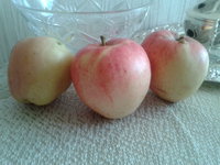 20140922_114149.jpg