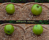 Башкирский изумруд.jpg