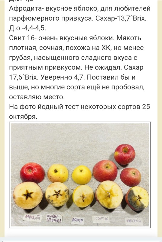 Screenshot_20231210-215204_Yandex.jpg