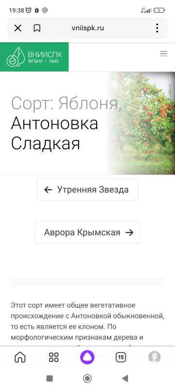 Screenshot_2024-01-11-19-38-37-581_ru.yandex.searchplugin.jpg