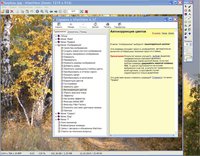 Справка к IrfanView 4.37