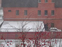 copDSC09550.jpg