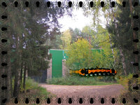 Гусеница 3.jpg