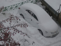 copDSC09585.jpg