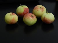 DSCN0112.JPG