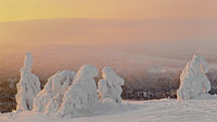 4852678_large.jpg