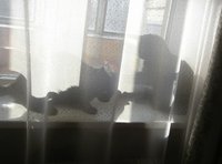 P1010050.JPG