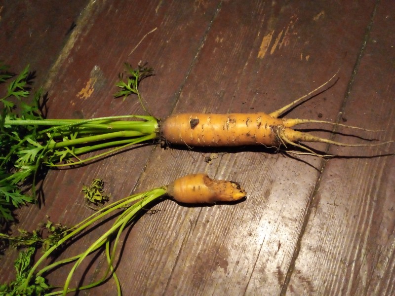 20240712_032044.jpg