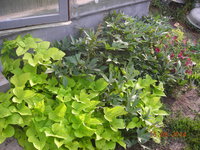 DSCN6487.JPG