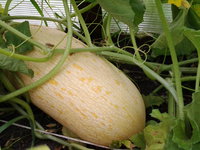 20140817_110047.jpg