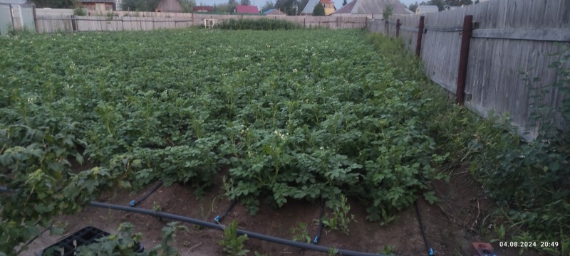 IMG_20240804_204932.jpg