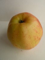 P1050442_new.jpg