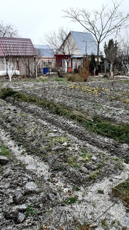 20241127_125132.jpg