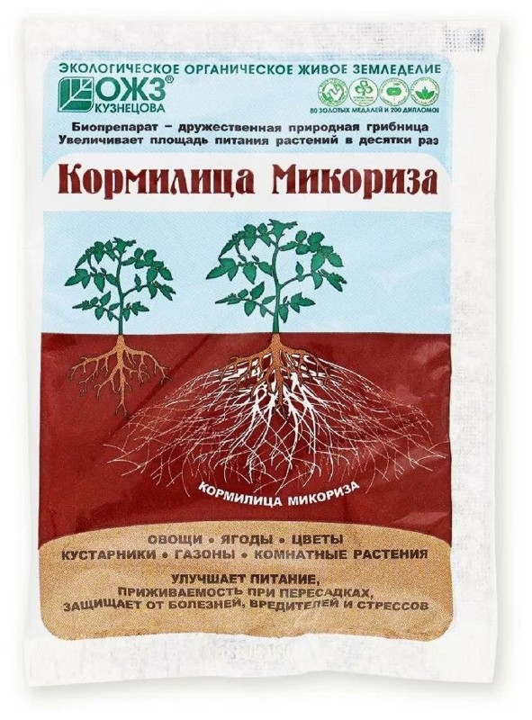 Кормилица Микориза Башкирская.jpg
