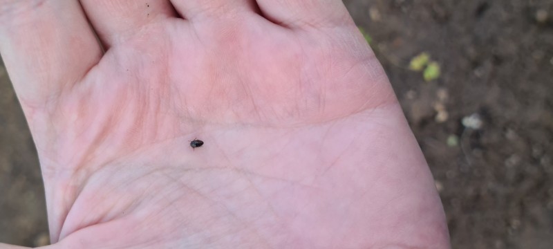 20250516_191009.jpg