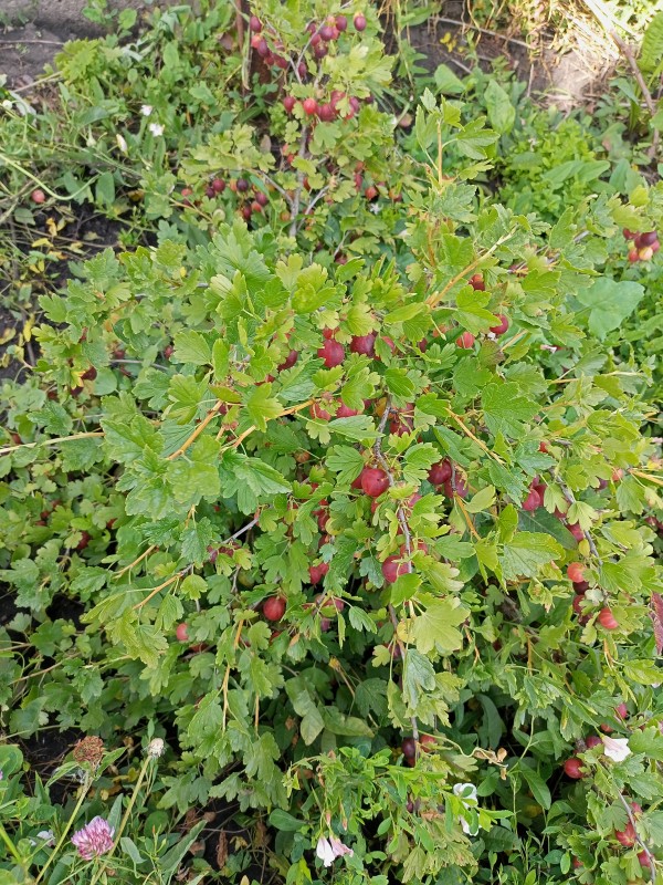 IMG20250706163151.jpg