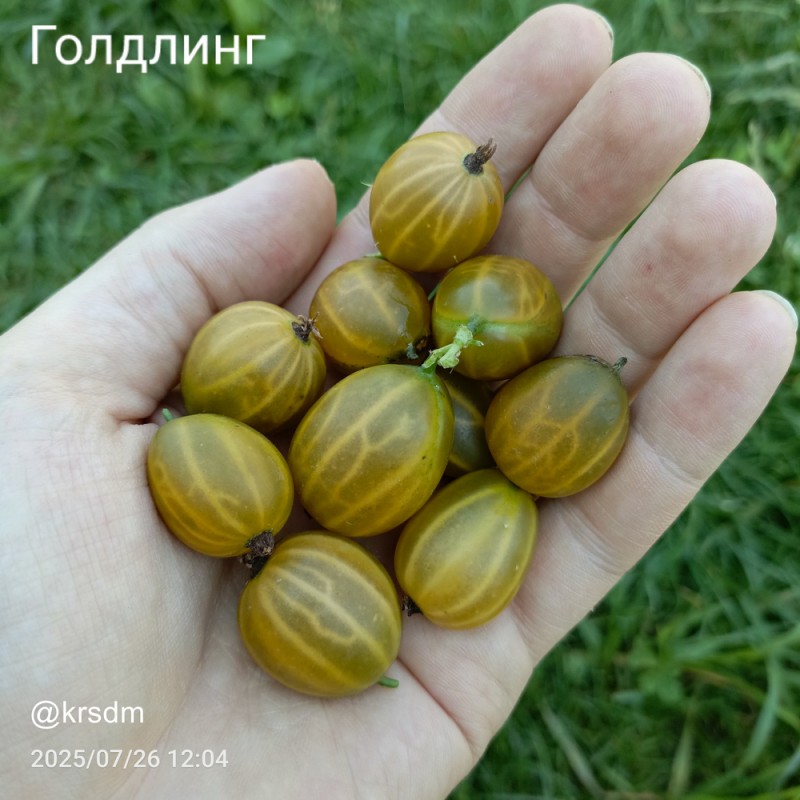 рука3.jpg