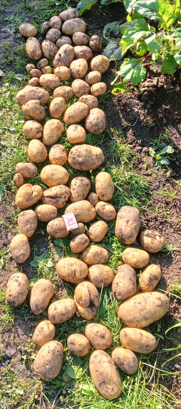 Пароли