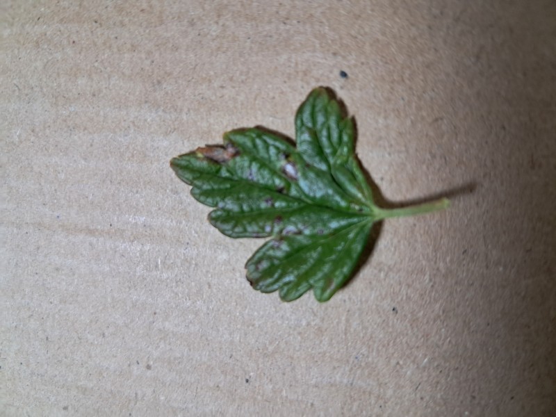 20250918_173353.jpg